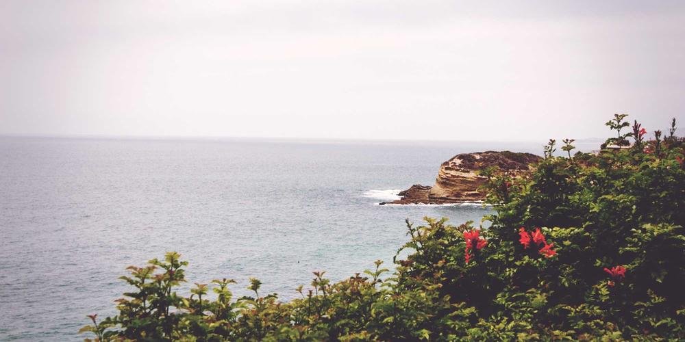 Réalisation community management pour Albena